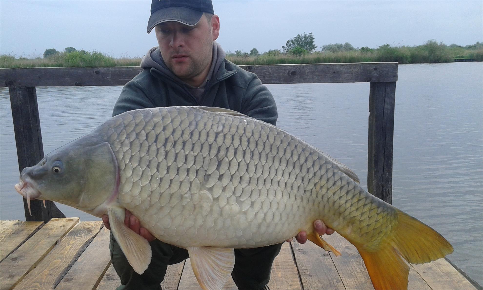 0HAT 3 2016 - 20160429113725---copy.jpg